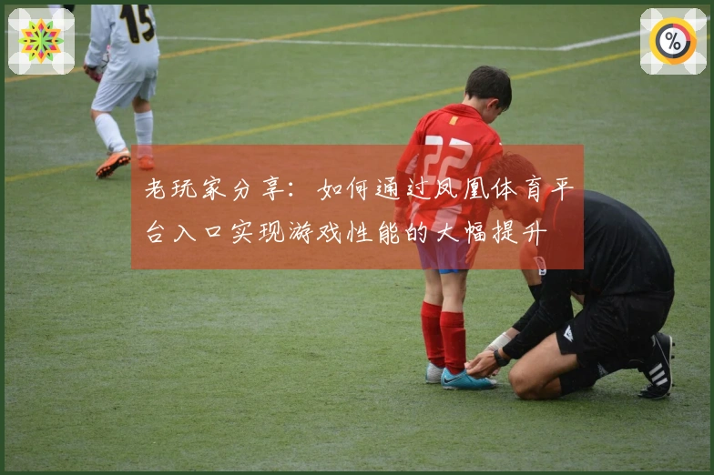 老玩家分享：如何通过凤凰体育平台入口实现游戏性能的大幅提升