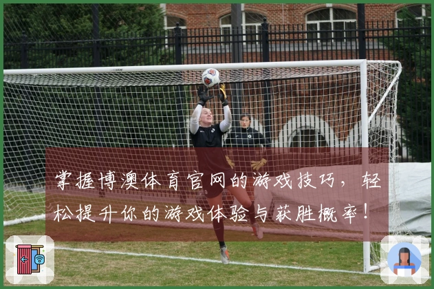 掌握博澳体育官网的游戏技巧，轻松提升你的游戏体验与获胜概率！
