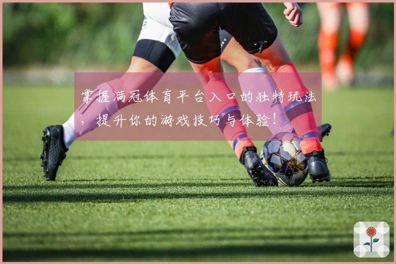 掌握满冠体育平台入口的独特玩法，提升你的游戏技巧与体验！