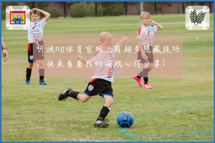 听说ng体育官网上有超多隐藏技巧，快来看看我的游戏心得分享！