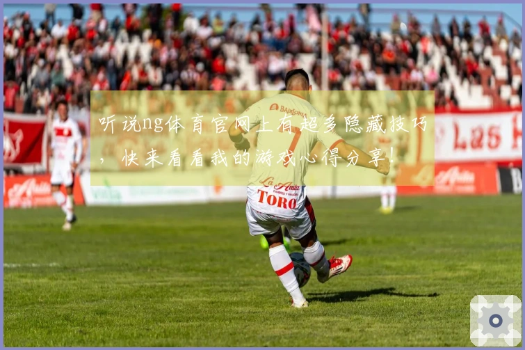 听说ng体育官网上有超多隐藏技巧，快来看看我的游戏心得分享！